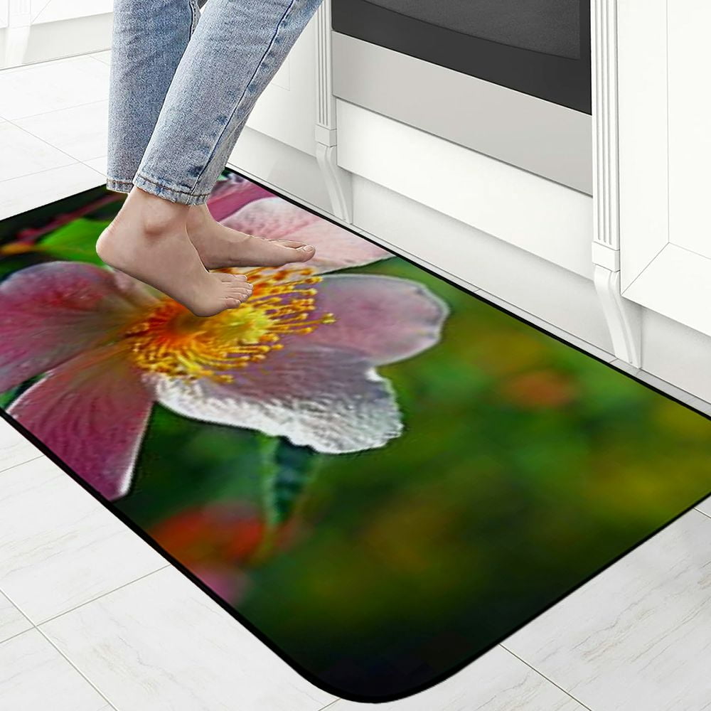 Heduofu Decorative Door Mat, Door Mat with Non-Slip Rubber Backing, Easy Cleaning, Traps Dirt, Rug for Entry, Patio, Garage  - Flower Rose Nature Plant Garden Leaf Summer 19.68*47.24 in