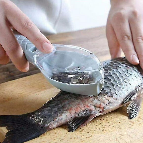 Grattoir à Écailles de Poisson Brosse pour Peau de Poisson Fournitures de Cuisine Multicolore-ZJKDGJKJ