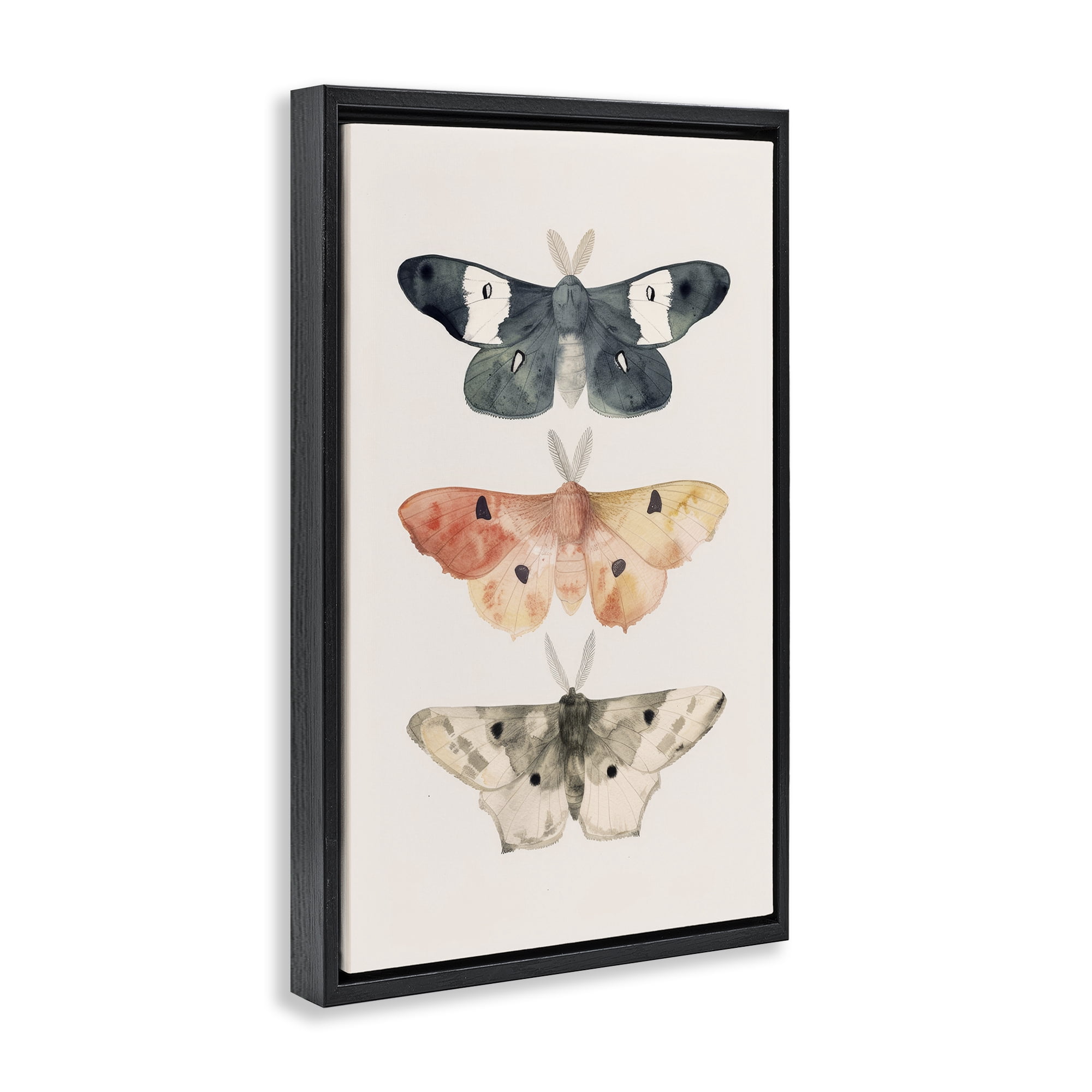 Stupell Industries Watercolor Moth Trio Animals Painting Black Floater Framed Canvas Art Print Wall Art, 17 x 25