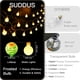 thumbnail image 5 of Control remoto USB String Lights Suddus Globe de 100 LED, blanco cálido, 5 of 9