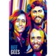 thumbnail image 1 of Placa de Metal Vintage Wdftyju Bee Gees 20x30cm, 1 of 9