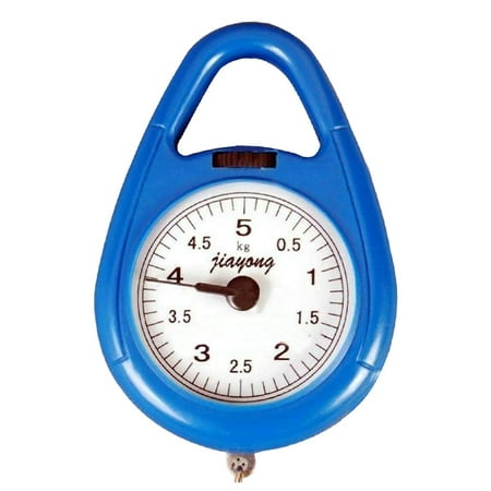 Spring Balance Scale - Portable Fishing Scale Luggage Scale Hanging Scale Spring Balance Kitchen Household Scale (Random Color)