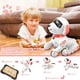 thumbnail image 4 of Juguete robot Britik para niños de 8 a 12 años con mando a distancia, 4 of 9