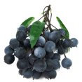 thumbnail image 1 of Artificial Fruit Lifelike Creative Decorative Fake Fruit Photography Prop, 1 of 7