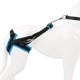 thumbnail image 2 of Cinturón de Soporte para Perros ZHAOCHENG Azul Circunferencia de la Pierna 35-45 cm, 2 of 5