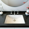 thumbnail image 1 of A&E Bath and Shower FUSION Sink, 1 of 6