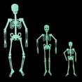 thumbnail image 3 of 90/150Cm Poseable Human Skeleton Halloween Decoration Party Prop, 3 of 6