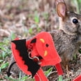 thumbnail image 4 of 1 Set Halloween Rabbit Traction Harness Leash Anti-escaping Ferret Walking Leash, 4 of 9