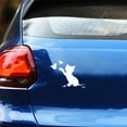 thumbnail image 5 of Funny Cat Butterfly Truck Car Sticker Vinyl Decal Bumper Decorative Accessories, 5 of 7