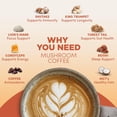 thumbnail image 3 of RYZE SUPERFOODS RYZE n Shine Bundle, USDA Organic Mushroom Medium Roast Coffee + Probiotic Coffee Creamer with 6 Adaptogenic Mushrooms for Better Energy, Focus, Digestion, Immunity, 30 + 30 Servings, 3 of 11