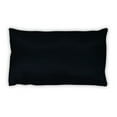 thumbnail image 2 of Star Wars Black small Empire Lumbar Pillow, 2 of 7