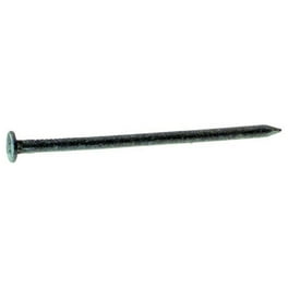 Ace 12D 3-1/4 in. Common Hot-Dipped Galvanized Steel Nail Flat Head 5 lb Ace 12D 3-1/4 in. Common Hot-Dipped Galvanized Steel Nail Flat Head 5 lb