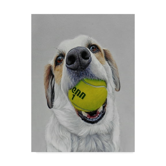 Trademark Fine Art 'Penn' Canvas Art by James Ruby