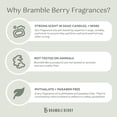 thumbnail image 3 of Aceite aromático Bramble Berry Cashmere, 60 ml, vegano, sin ftalatos, 3 of 4