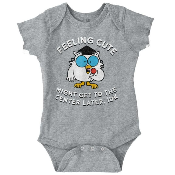 Feeling Cute IDK Meme Mr. Owl Funny Bodysuit Jumper Girls Infant Baby Brisco Brands 12M