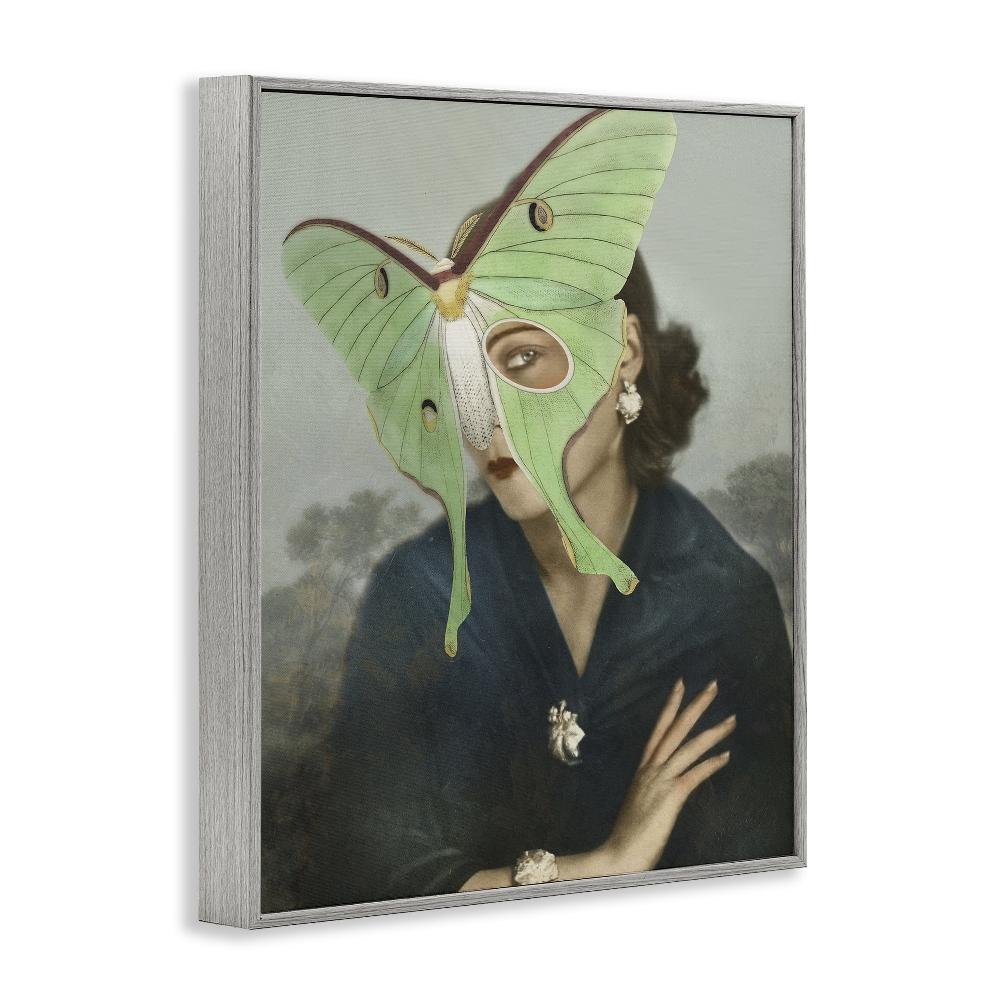 Stupell Industries Naturalist Portrait with Moth Gray Framed Giclee Art, design by Victoria Barnes