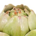 thumbnail image 5 of STRANDCHIC Decorative Shiny Artichokes Faux Artichokes Green 2Pcs Home Desktop, 5 of 9