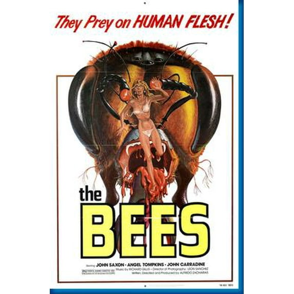 Bees Movie Poster Reprint 27Inx40In for any room 27x40 Multi-Color Square Adults Poster Time