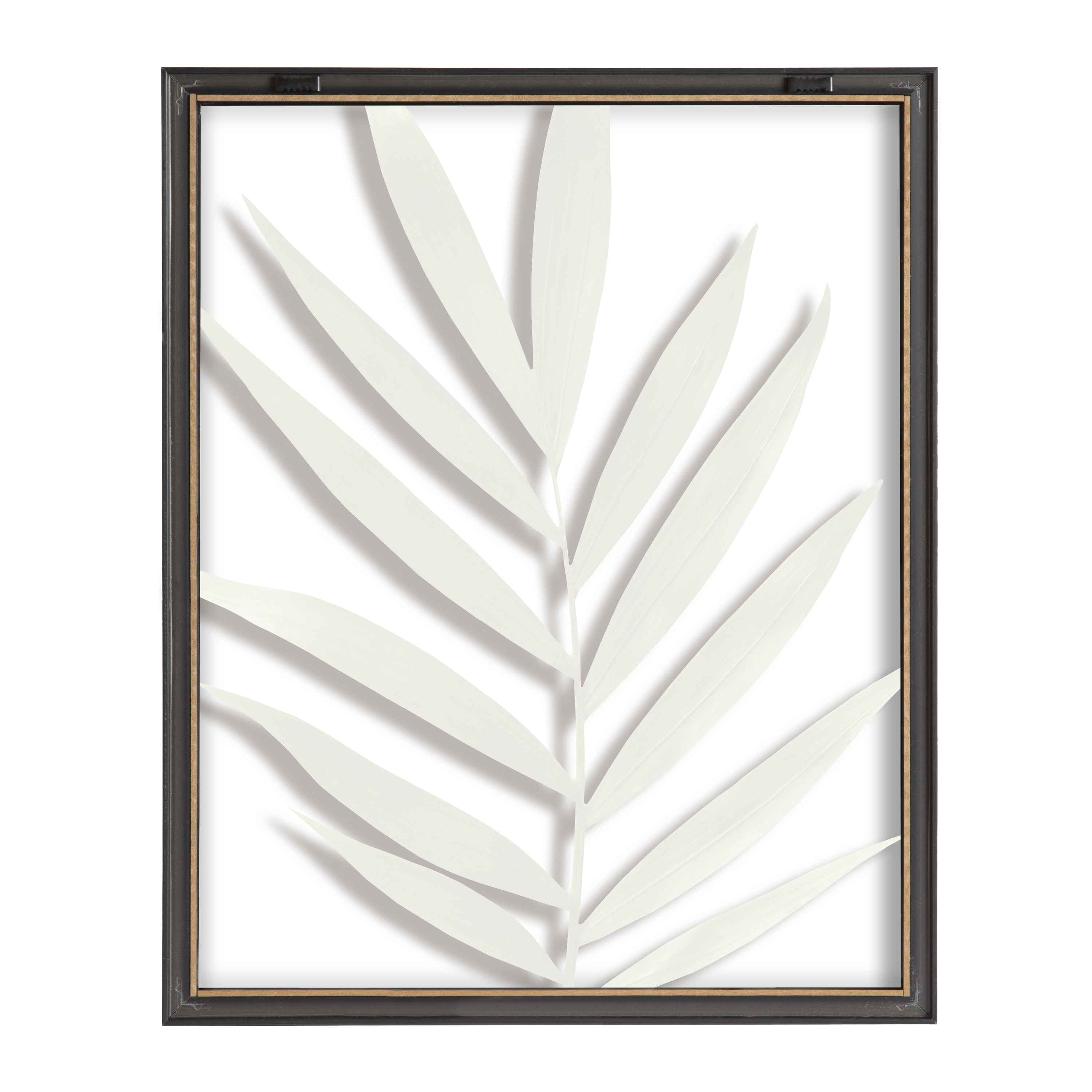 Blake Botanical 5F 16 in x 20 in Framed Photography Art Prints, by Kate and Laurel