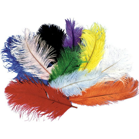 Morris Costumes Ostrich Plumes Adult Halloween Accessory