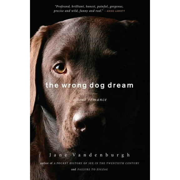 The Wrong Dog Dream : A True Romance (Paperback)