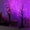 Orange Purple 2pc, variant on TETOU 2pcs-24inch Halloween Lighted Birches Tree,Total 24 LED Battery Operated Artificial Black Spooky Tree with Timer Hallowe'en Decoration for Fall Home,Bedroom,Office,Wedding,Indoor Party-Orange