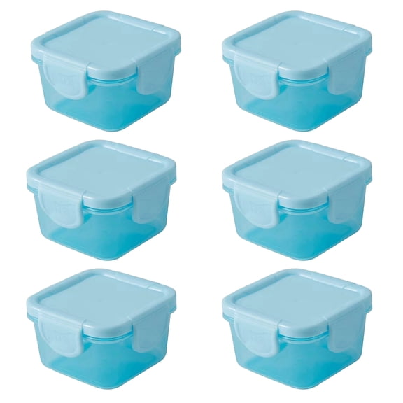 6Pcs Small Food Storage Containers With Leakproof Lids, Condiment Sauce Containers, Airtight Freezer Storage, Dishwasher and Microwave Safe