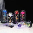 thumbnail image 2 of Eternal Roses Beauty And Animal Rose Kit In Glass Dome Led Lights Artificial Flowers Rose Gifts For Women Mum Gift, 2 of 5