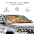 thumbnail image 2 of Bingfone Starfish And Seashell 1 Car Windshield Sunshade,Sun Foldable Sun Shield Sun Visor for Car - Medium, 2 of 8