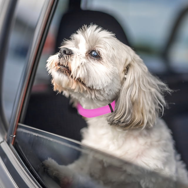 Cuerda para Coche para Mascotas onlyliua Cinturón de Coche para Perros Cinturón de Tracción Trasero