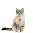 thumbnail image 2 of Pet Ball Collar High Elastic Collar Soft Special Design Adjustable For Small Medium Large Dogs, 2 of 7