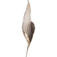 thumbnail image 3 of HOWARD ELLIOTT Wall Sculpture Aspen Leaf Medium Champagne Bronze Highlights, 3 of 3