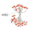 thumbnail image 1 of String Lights, Warm White 3 Meter 20 LEDs Waterproof Fairy String Lights  For Garden, 1 of 8