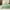 Green, variant on Isvgxsz Sherpa Blankets Queen Size - Thick and Warm Blankets for Winter, Reversible Soft and Fuzzy Fluffy Queen Size Blanket for Bed, 78.7x59in