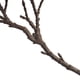 thumbnail image 3 of Árbol de Cítricos de Limón Artificial árbol de Cítricos de Limones Artificiales para Interiores para la Mesa de la Sala de Estar de la Oficina en el Hogar ANGGREK Otros, 3 of 8