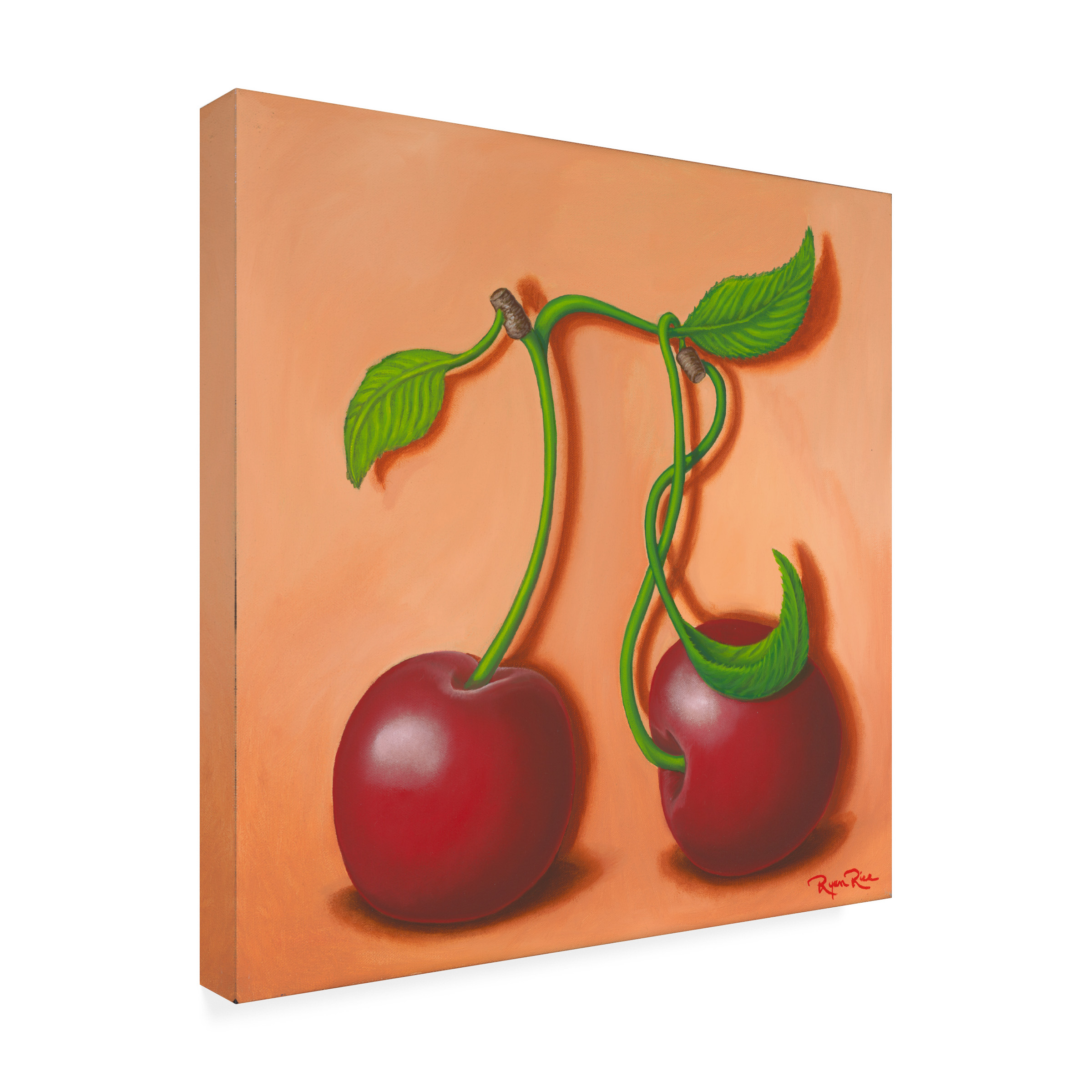 Trademark Fine Art 'Cherry Pi' Canvas Art by Ryan Rice Fine Art