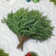thumbnail image 6 of 12 Pcs Real Touch Norfolk Pine Branches, 18" Christmas Artificial Green Plants Branch Faux Cedar Norfolk Pine Stem Fake Greenery Pine Picks For Vase Diy Crafts Garland Wreath Christmas Indoor Outdoor, 6 of 7
