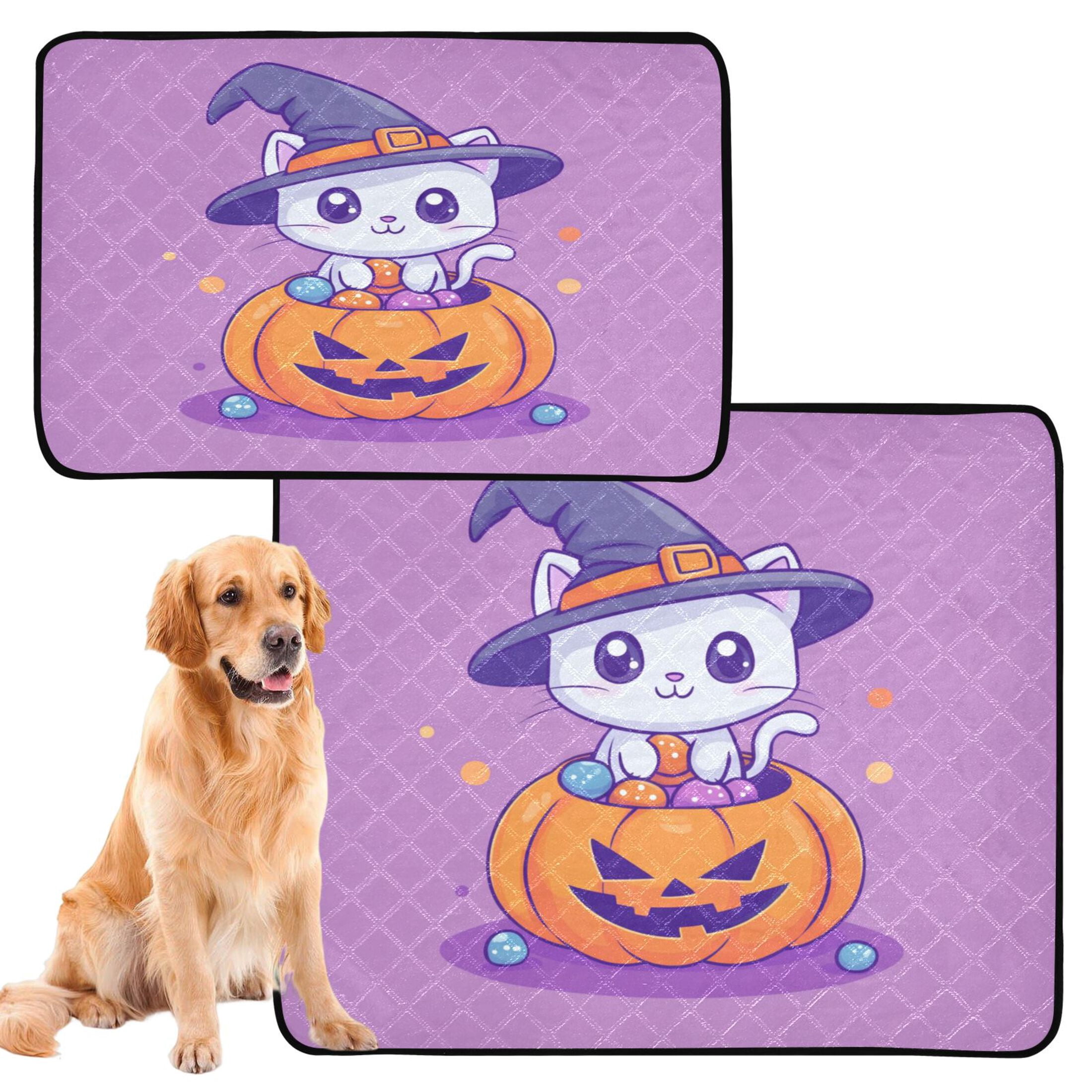 Qxltty A Cute Cat Sitting on Top Of Pumpkin Cat litter Pads Pet Set of 3 Diaper Mats Center Anti-leakage Layer Absorbent Soft and Comfortable