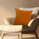 thumbnail image 4 of Pillow Multicolor Color Scandinavian Style Velvet Pillow Suitable For Living Room Sofa Bedroom Office Deals Of The Day Clearance, 4 of 9