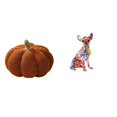 thumbnail image 1 of Almohadas de calabaza de Halloween,Almohadas de calabaza de Halloween Decoración del hogar Suave,Cojines de calabaza para Halloween,peluches,sofá,Figura decorativa,Estatua de perro, 1 of 8