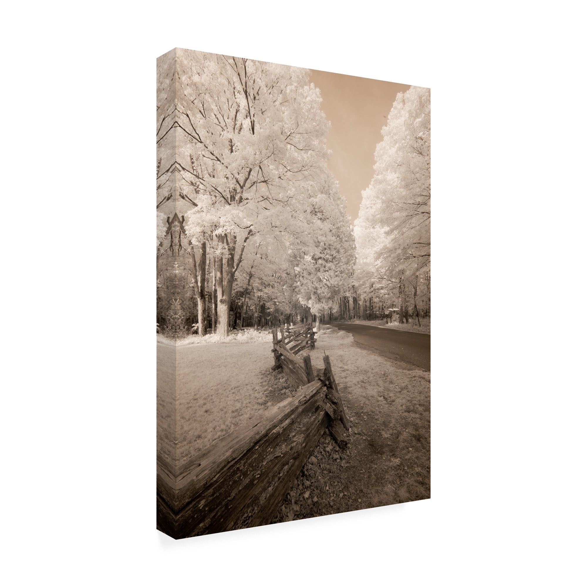 Trademark Fine Art 'Staggered Fence Sepia' Canvas Art by Monte Nagler