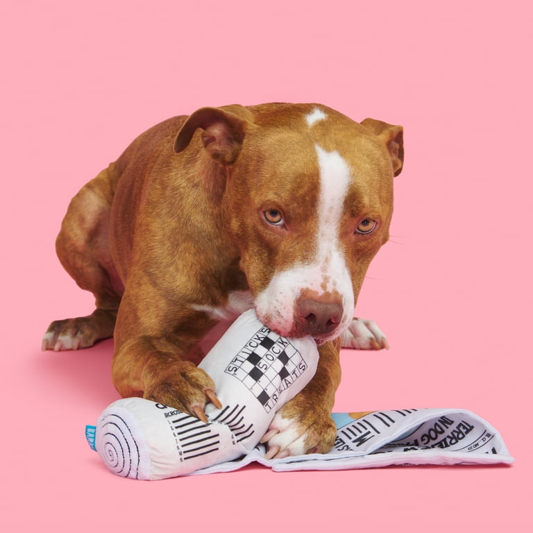 CVS Pharmacy Bark Furmacy Dog Toy - 2 Pack Squeaky Nylon Chew Toys With Crinkle, Free Shipping