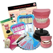 Aww Industries Dentistry Edition My First Medical Set