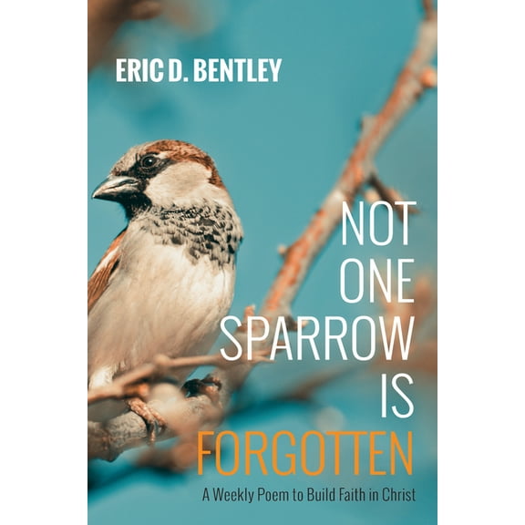 Not One Sparrow Is Forgotten (Paperback)