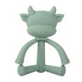 thumbnail image 1 of Xuewenshw Toddlers Baby Teething Toys Soft Silicone Fruit Teether Holder Books 6 12 Months, 1 of 1