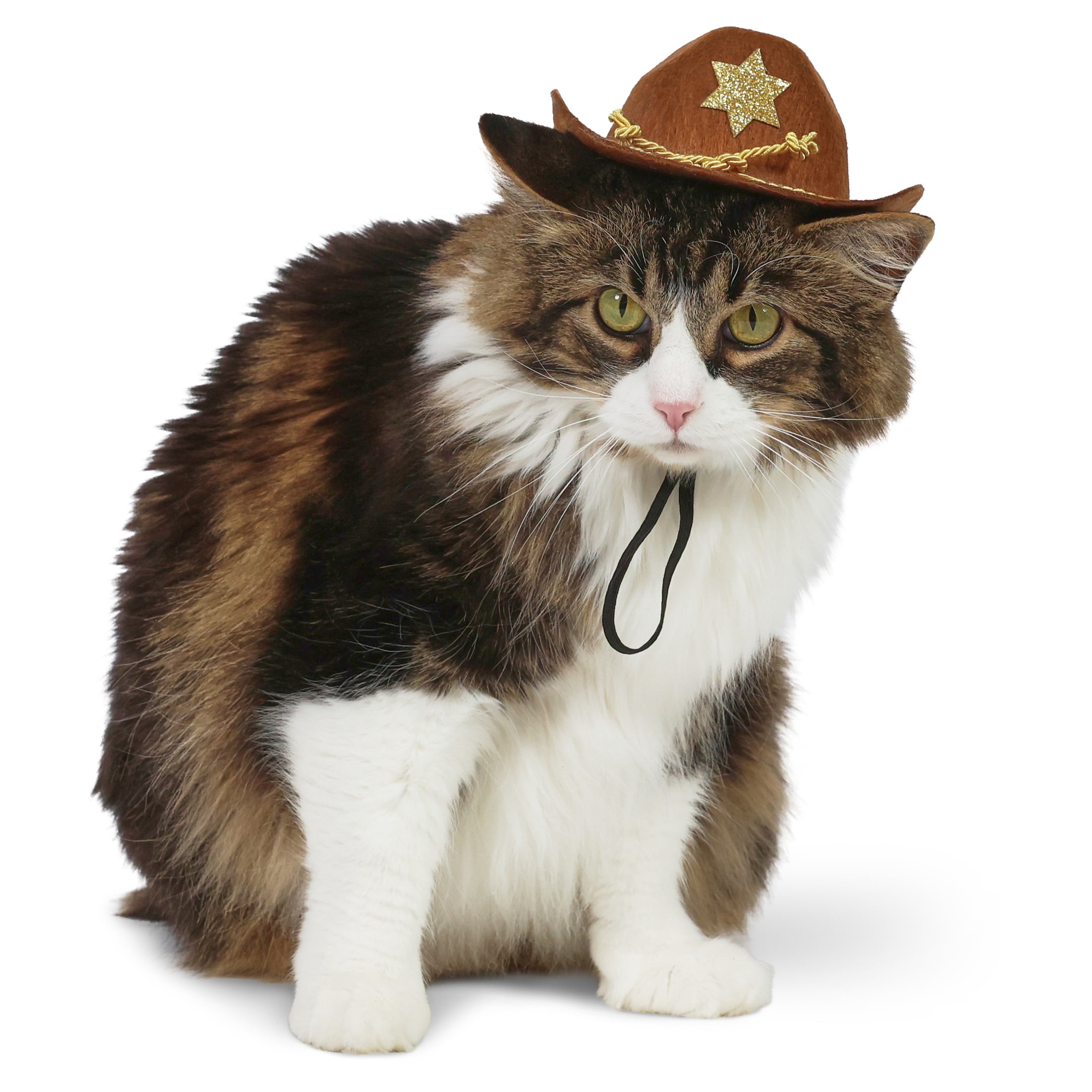 Vibrant Life Halloween Cowboy Hat Costume for Dogs and Cats, Brown, XS/S