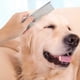 thumbnail image 5 of Paquete de 2 peines para perros con extremos redondeados y dientes de acero inoxidable, 6,3/7,4 pulgadas, 5 of 5