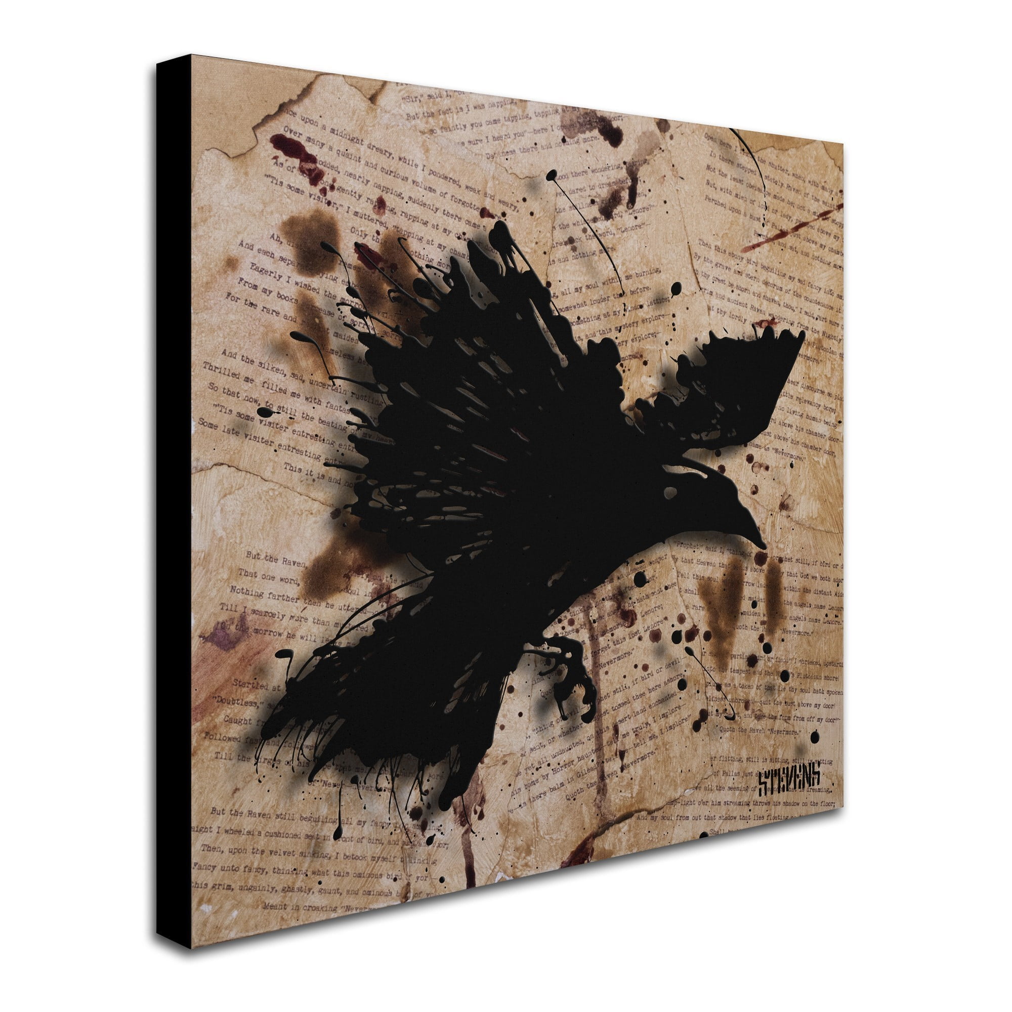 Trademark Fine Art Roderick Stevens 'The Raven 1' 24 x 24 (RS1011-C2424GG)
