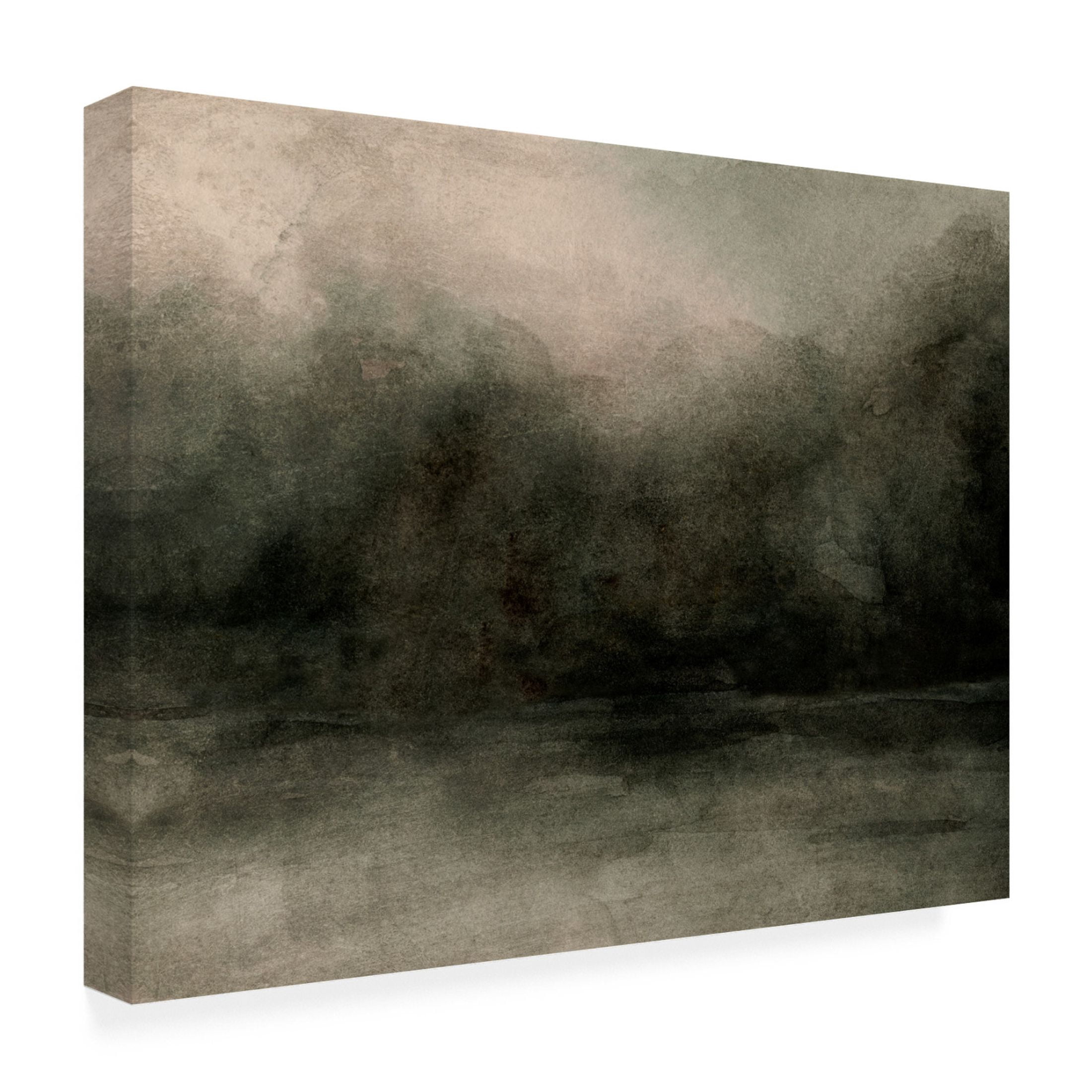 Trademark Fine Art Emma Caroline Smoky Tree Horizon II Canvas Wall Art