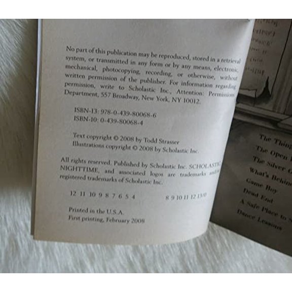 Pre-Owned Nighttime: Too Dark to See (Paperback) 0439800684 9780439800686